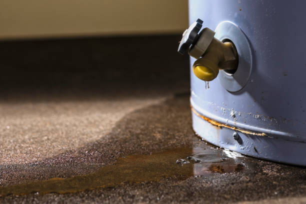 Best Water damage restoration near me  in Kahoka, MO