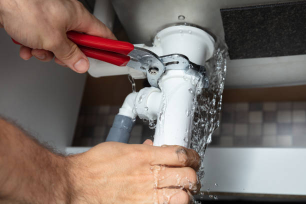 Best Carpet water damage restoration  in Kahoka, MO