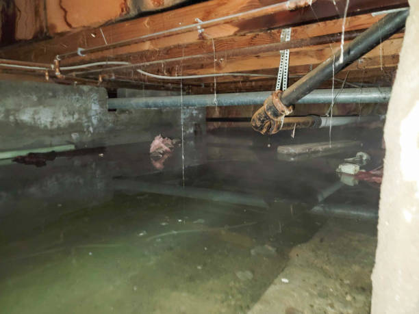 Best Flood restoration services  in Kahoka, MO