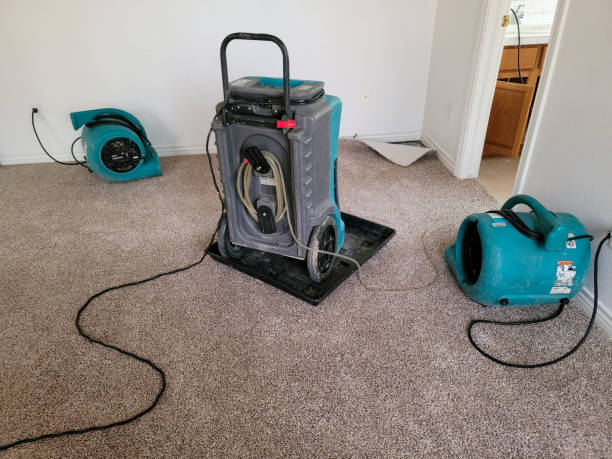 Best Professional water damage repair  in Kahoka, MO