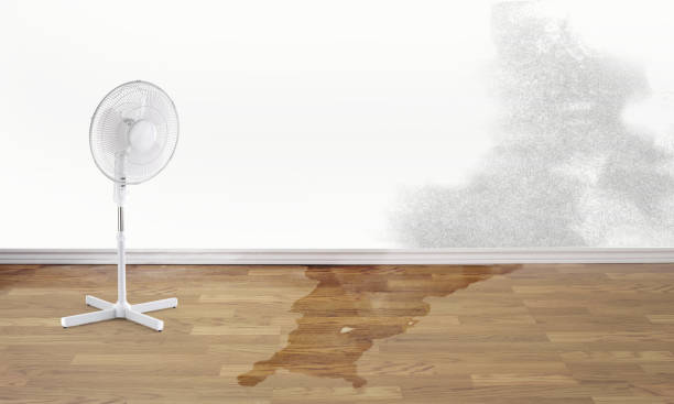 Best Emergency water damage restoration  in Kahoka, MO