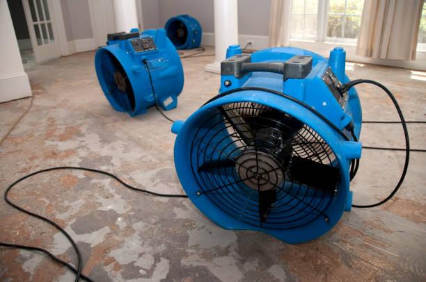 Best Water damage restoration services  in Kahoka, MO